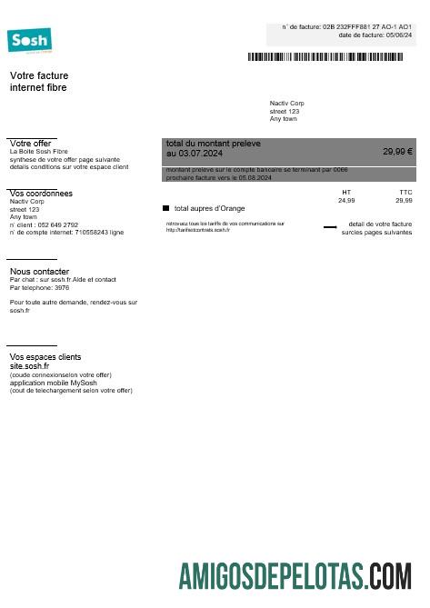 em branco França Sosh Business Utility Bill Modelo Word e PDF1